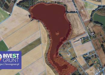 [24,81 ha] jezioro, przetarg na dzierżawę