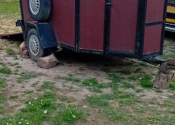 Przyczepka do przewozu zwierząt na kat B
