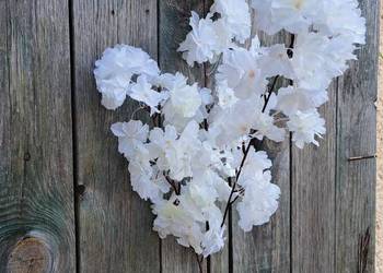 Biała wiśnia gałęzie