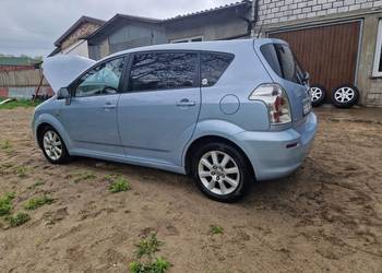 Corolla verso