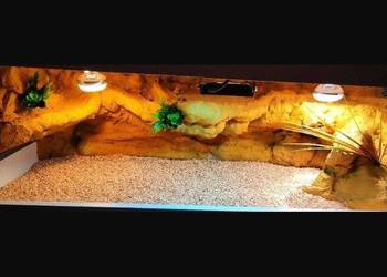 Terrarium dla żółwia greckiego gekona lamparciego