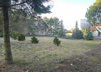 Mrowino, działka mieszkaniowo-usługowa w centrum