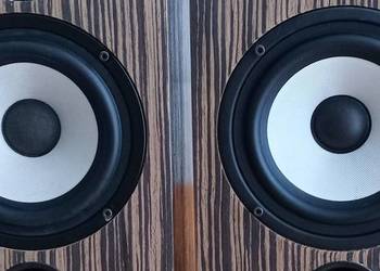 Glosniki STX.W18.200FGX