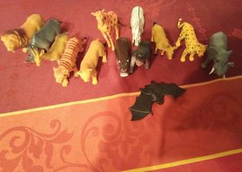 Safari zwierzęta średnie