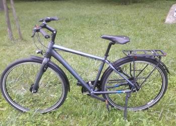 Rower na pasek Pegasus