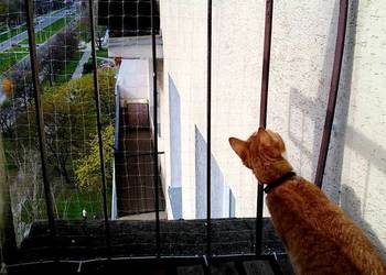 Siatki zabezpieczające przed upadkiem kota Bez Wiercenia Warszawa Siatki zabezpieczające przed upadkiem kota Bez Wiercenia Warszawa