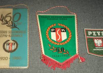 PZTS Sędzia Okręgowy , Kolegium Sędziów Rybnik PSK Katowice