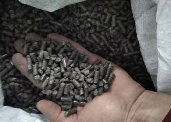 Pellet słonecznikowy od rękę