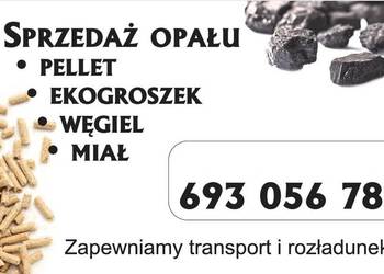 Ekogroszek Polski 27Mj/kg węgiel kostka orzech Pellet Skierniewice