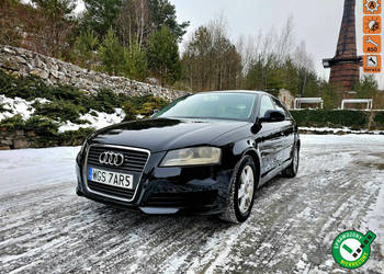 Audi A3 Sportback Lift 1.9 TDI DSG 5 Drzwi Serwis 8P (2003-2012)