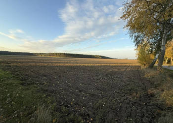 OFERTA SPRZEDAŻY LUB DŁUGOTERMINOWEJ DZIERŻAWY ŻWIROWNI – KOCHOWO II