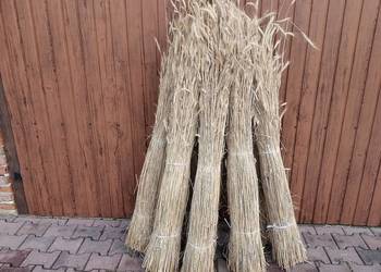 Słoma żytnia prosta