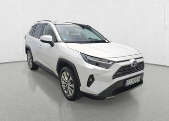 Toyota RAV-4 Poleasingowe.pl ECFM V (2018)