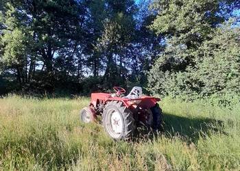 Władimirec t 25