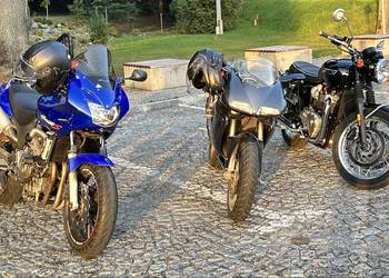 Honda Hornet
