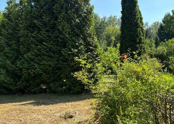 Duża działka ROD Radość (305 m²) – Działki nr 257 i 258 | Dąbrowa Górnicza