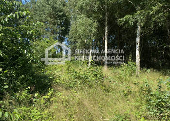 Grunt 883m2 Mieroszyno