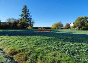 Działka Dębowiec 2732m2