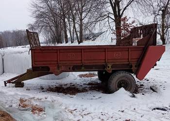 Rozrzutnik rosyjski ptu