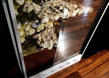 Terrarium wysokie 70/100/36