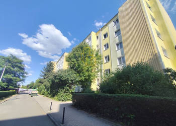Duże 3 pokoje z balkonem i piwnicą//Bacciarellego!