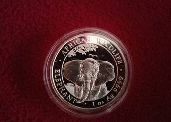 Srebrna moneta 1 uncja Słoń Somalijski