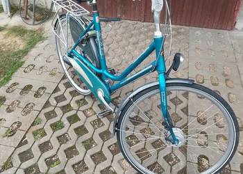 Rower holenderski bavatus