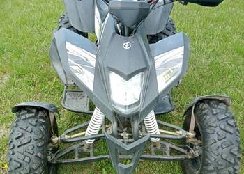quad 250 mad max