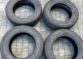 Opony zimowe Nokian Hakkapelita 8 195/65 r15 Opony zimowe Nokian Hakkapelita 8 195/65 r15