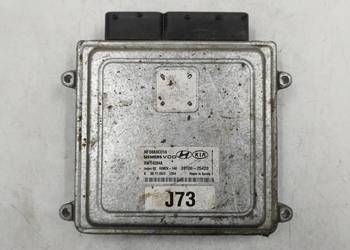 Sterownik Silnika Hyundai Sonata IV 2.0 39100-25420 5WY4284A