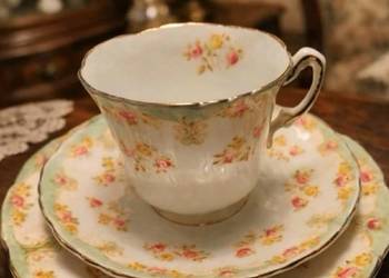 Wiktoriańskie Trio*Redfern & Drakeford * Staffordshire
(1892 - 1909)