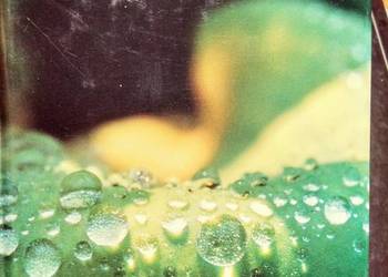 Hatrwig Wiersze Lżejszym głosem książki Bródno księgarnie