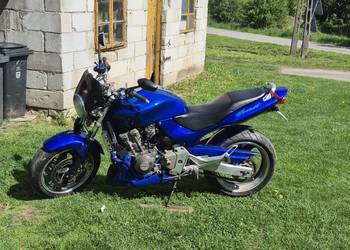 Honda hornet