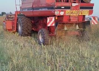 Kombajn zbożowy rotorowy Case 1640, heder 4.3 m