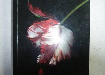 KSIĘŻYC W NOWIU - STEPHENIE MEYER