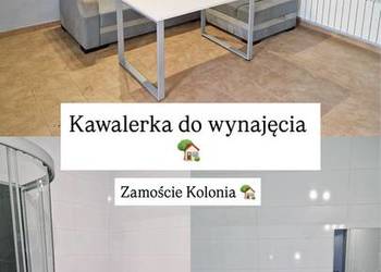 Mieszkanie na wynajem 800 zł