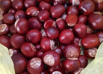 Kasztany świeże 1kg