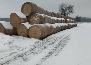 Słoma belki 150*120 cm dobrze zbite