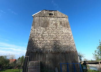 wiatrak koźlak