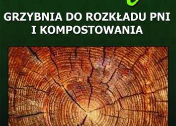 2 x Pg-POSZWALD EKO to ekologiczna grzybnia do rozkładu pni