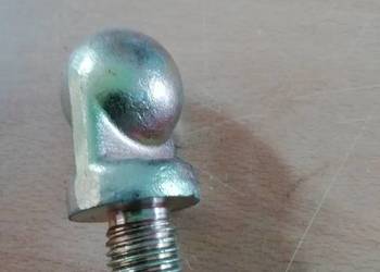 SWORZEŃ KULOWY TARGAŃCA