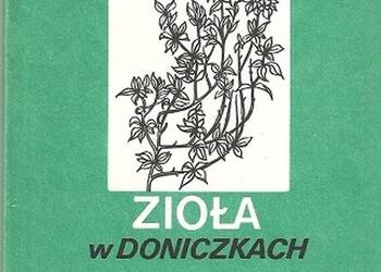 ZIOŁA W DONICZKACH - METERA PIOTR