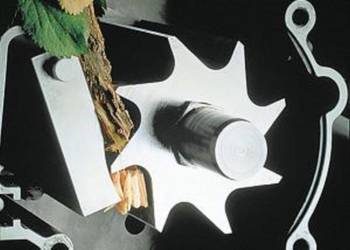 Rozdrabniacz do odpadów ogrodniczych frezowy Einhell