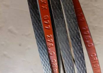 PAS Pasek CLAAS JAGUAR 077276.0 ORG.