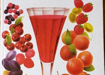 Domowy wyrób win - Jan Cieślak Domowy wyrób win - Jan Cieślak