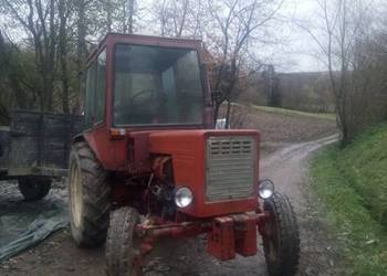 Władimirec t25 (rusek)