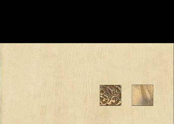 Płytka Savanna beige Inserto 30 x 50, Paradyż, płytki, kafelki, flizy