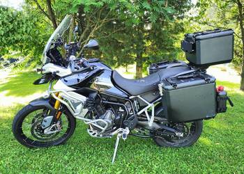 Triumph Tiger Rally Pro 900