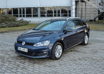 Volkswagen Golf Salon PL 2014 r.