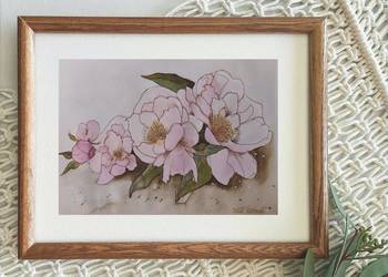 Akwarela Akwarelka Obraz pt: Peonie